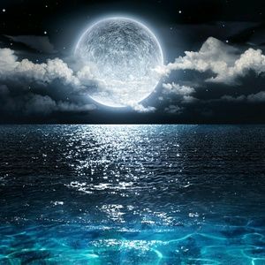 Meet your Posher, Jeannie